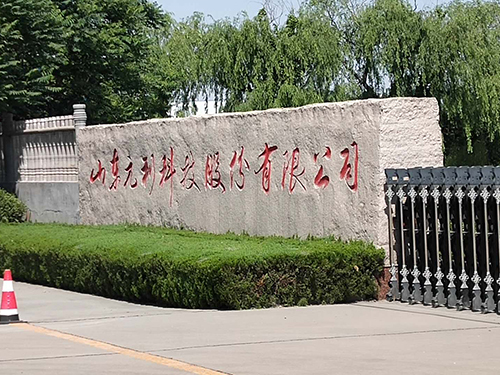 山东元利电磁反应釜